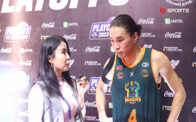 Үндэсний дээд лиг